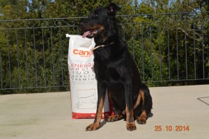 Croquettes beauceron Canutri Var